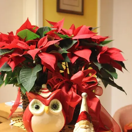 Szálloda Alassio 3*